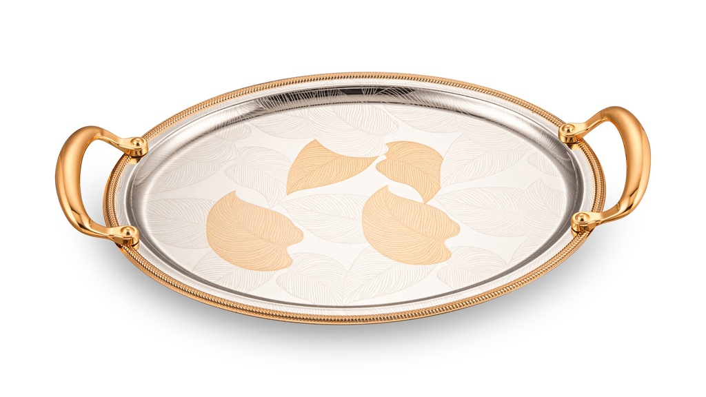 IRON NICKEL PLATED TRAY WITH GOLD COLOR HANDLE & EDGE & PATTERN